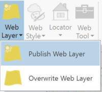 Publish as web layer