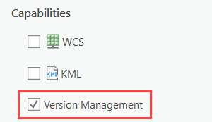 Enable version management on the feature layer.